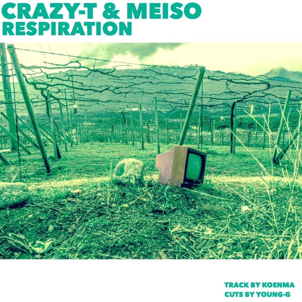 Picture of Crazy-T
