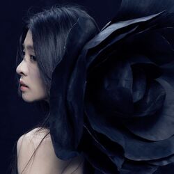 Picture of 張碧晨