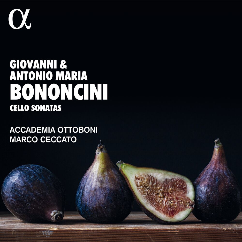 Picture of Accademia Ottoboni