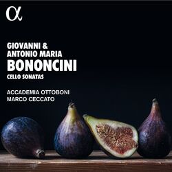 Picture of Accademia Ottoboni