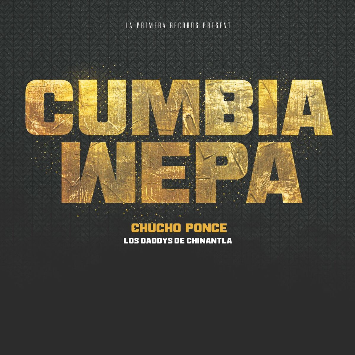 Chucho Ponce Los Daddys de Chinantla