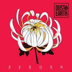 Picture of Dust On Earth