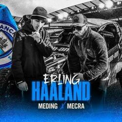 Picture of Meding