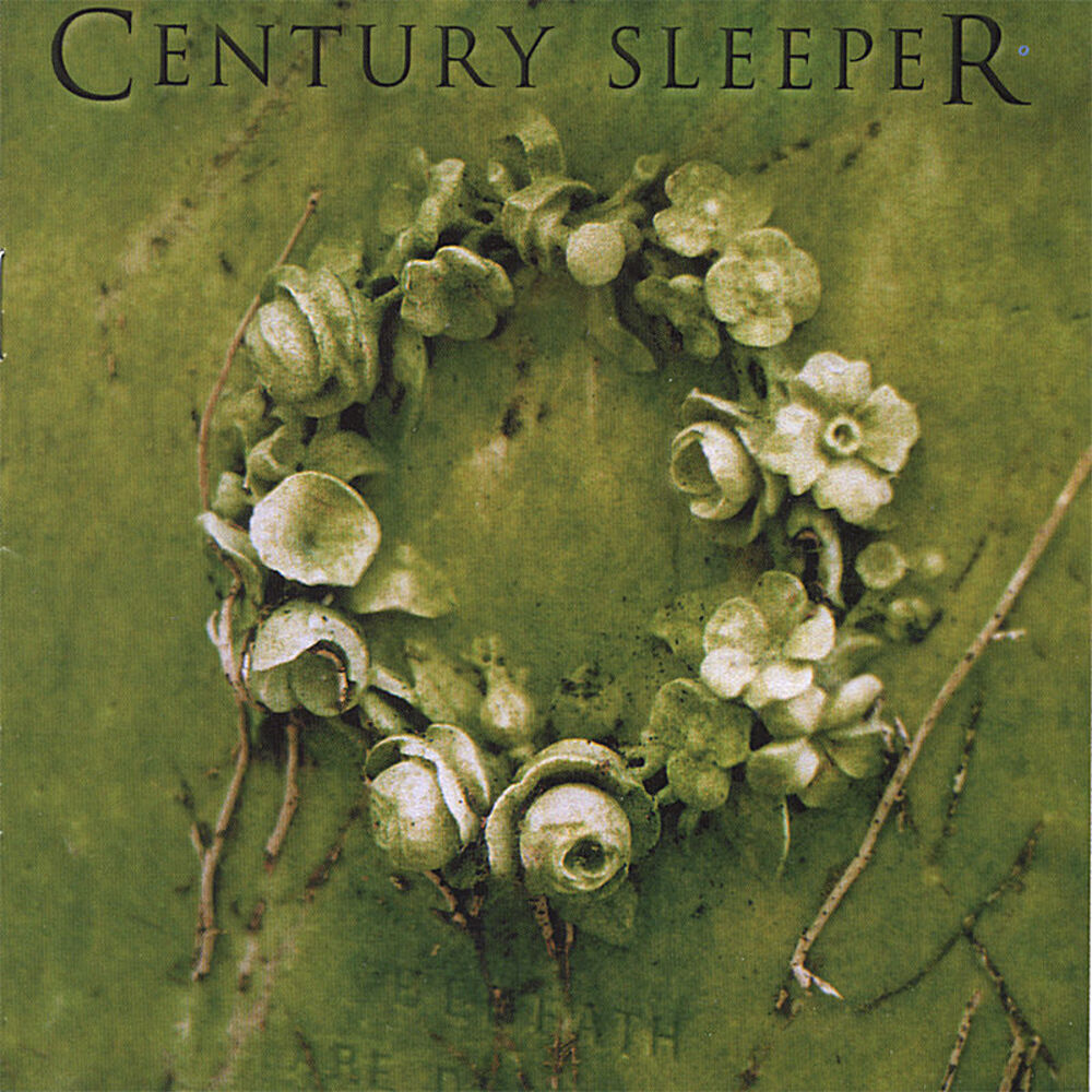 Picture of Century Sleeper