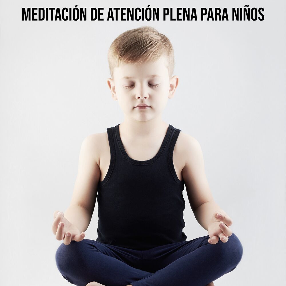 Picture of Reiki Consorte de Curación