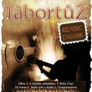 Tábortüz