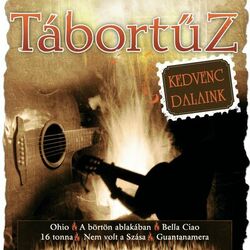 Picture of Tábortüz