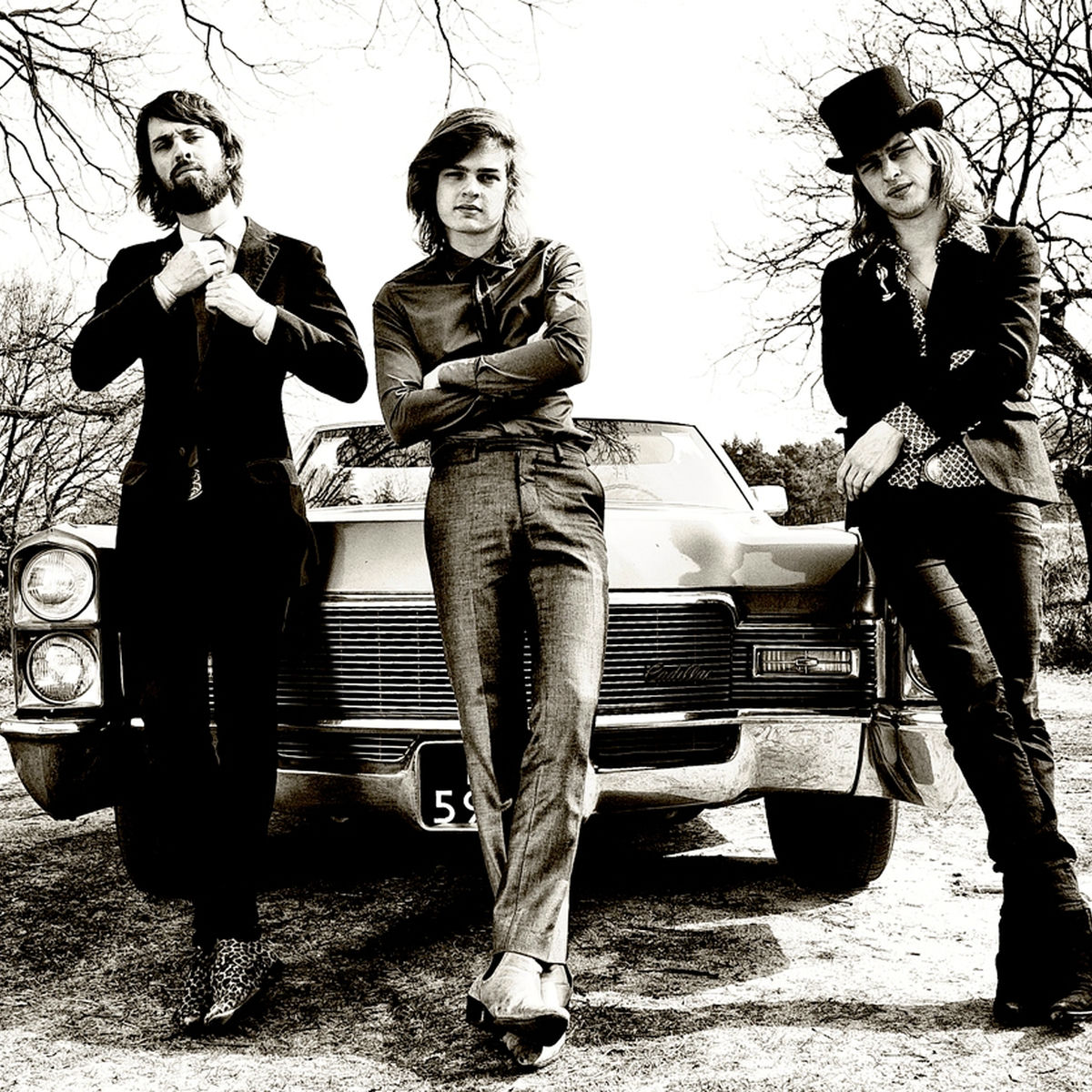 Artist picture of DeWolff