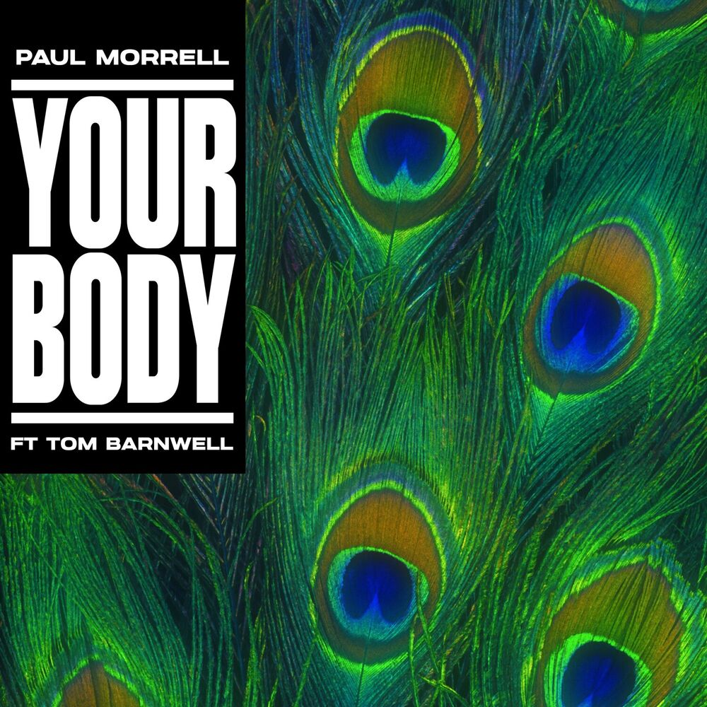 Picture of PAUL MORRELL