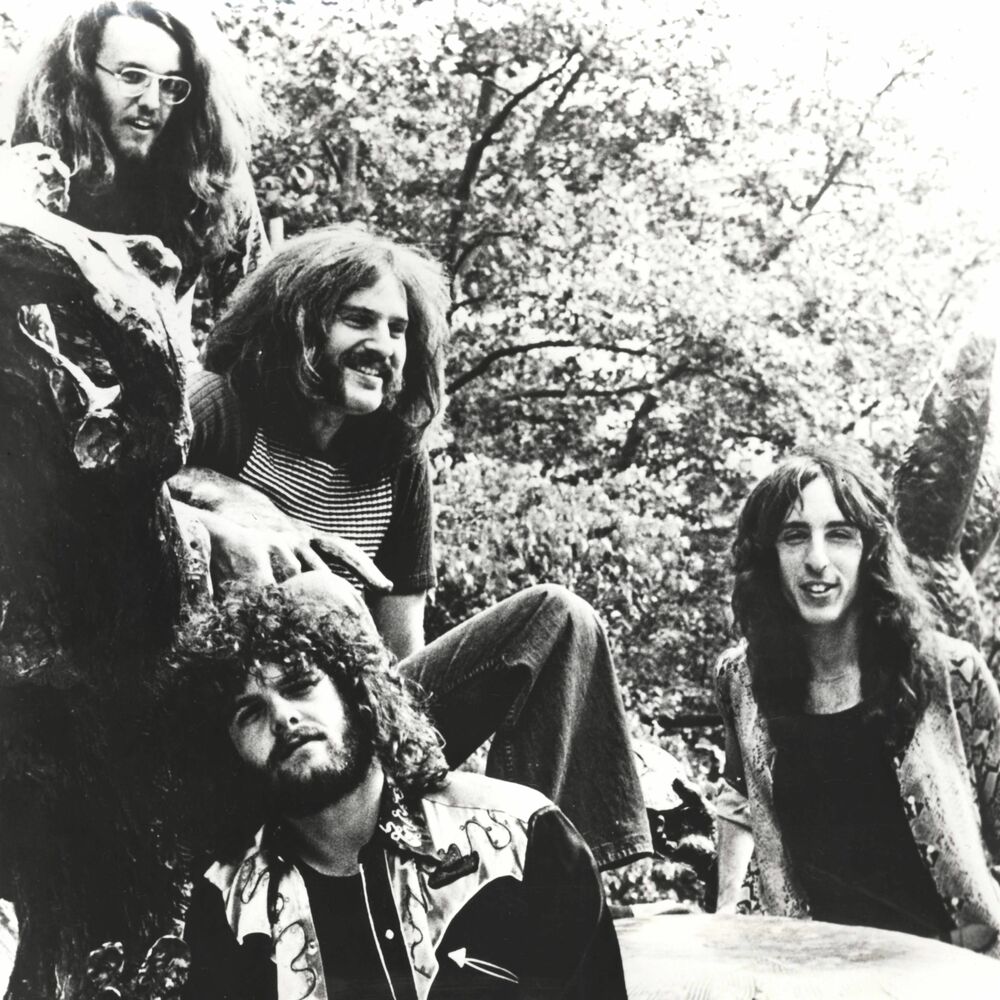 Picture of Looking Glass