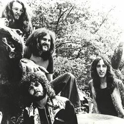 Picture of Looking Glass