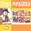 Gaviões do Forró
