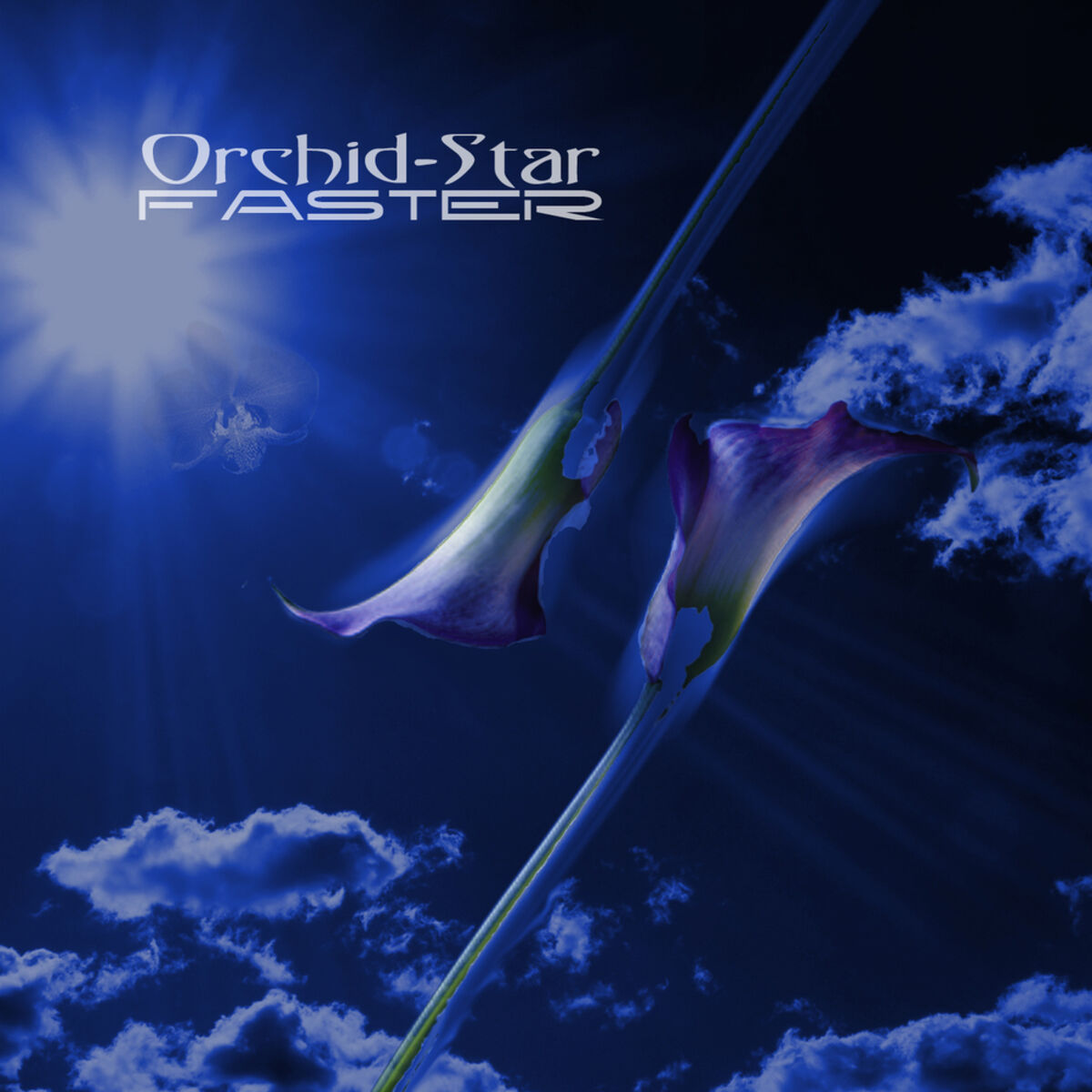 Orchid-Star