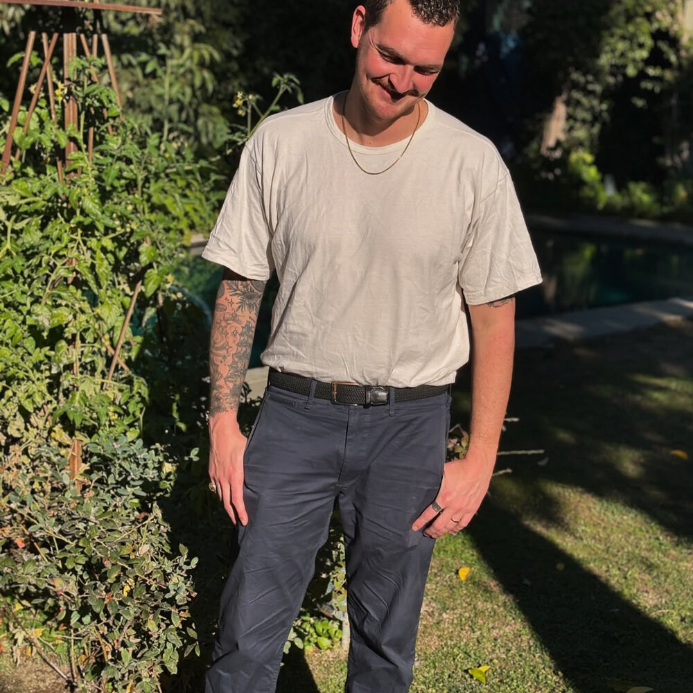 Picture of sunflwr
