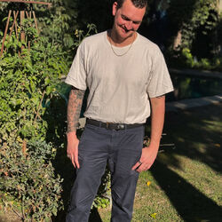 Picture of sunflwr