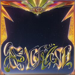 Fever The Ghost