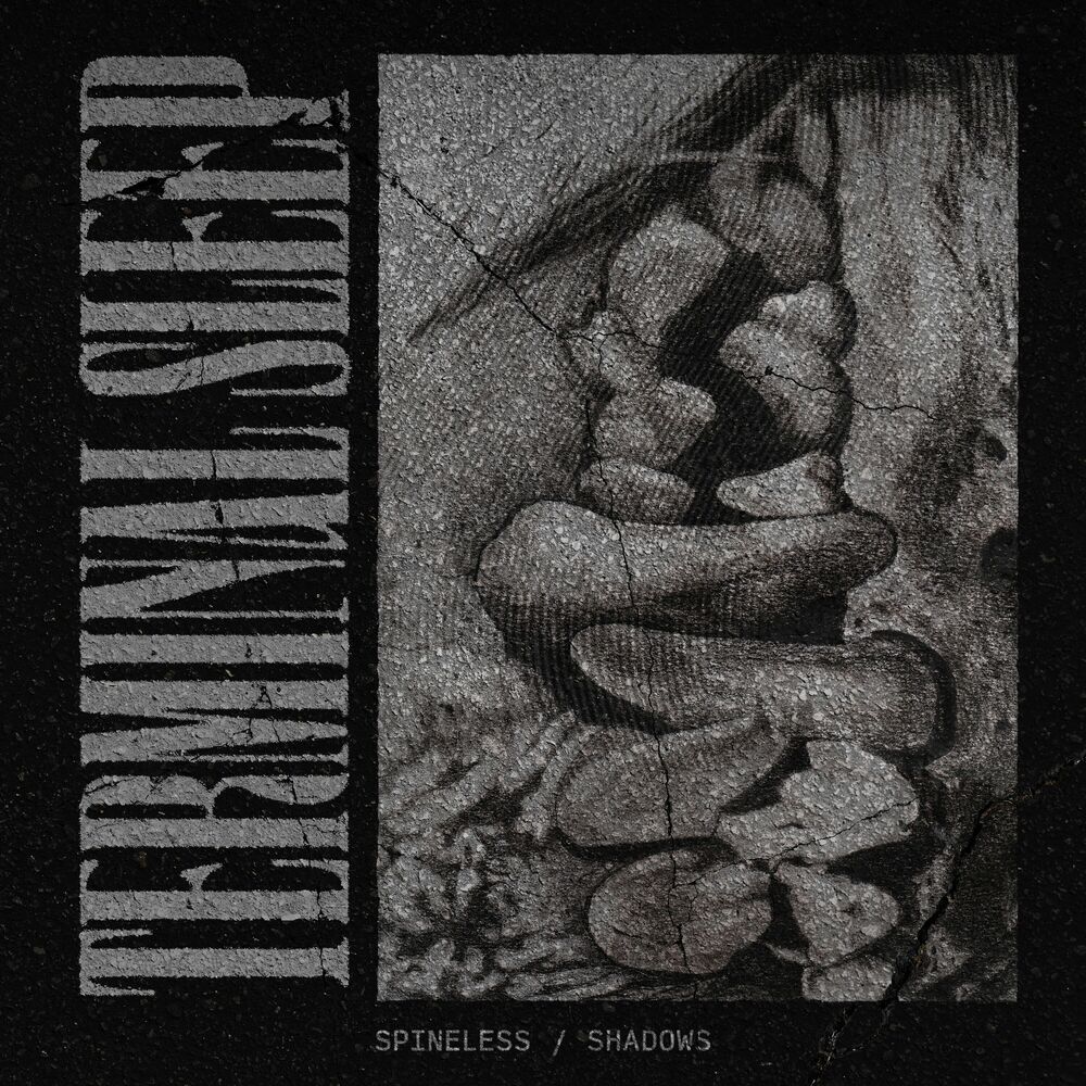 Picture of Terminal Sleep
