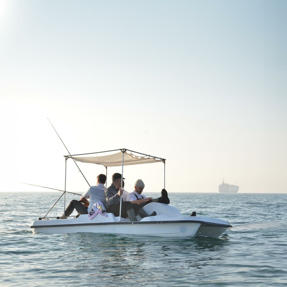 Picture of Harpier