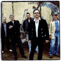 Picture of The Saw Doctors