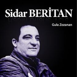 Picture of Sidar Beritan