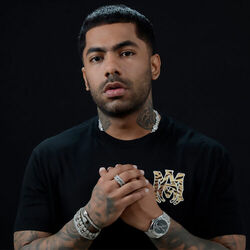 Picture of Tito Flow