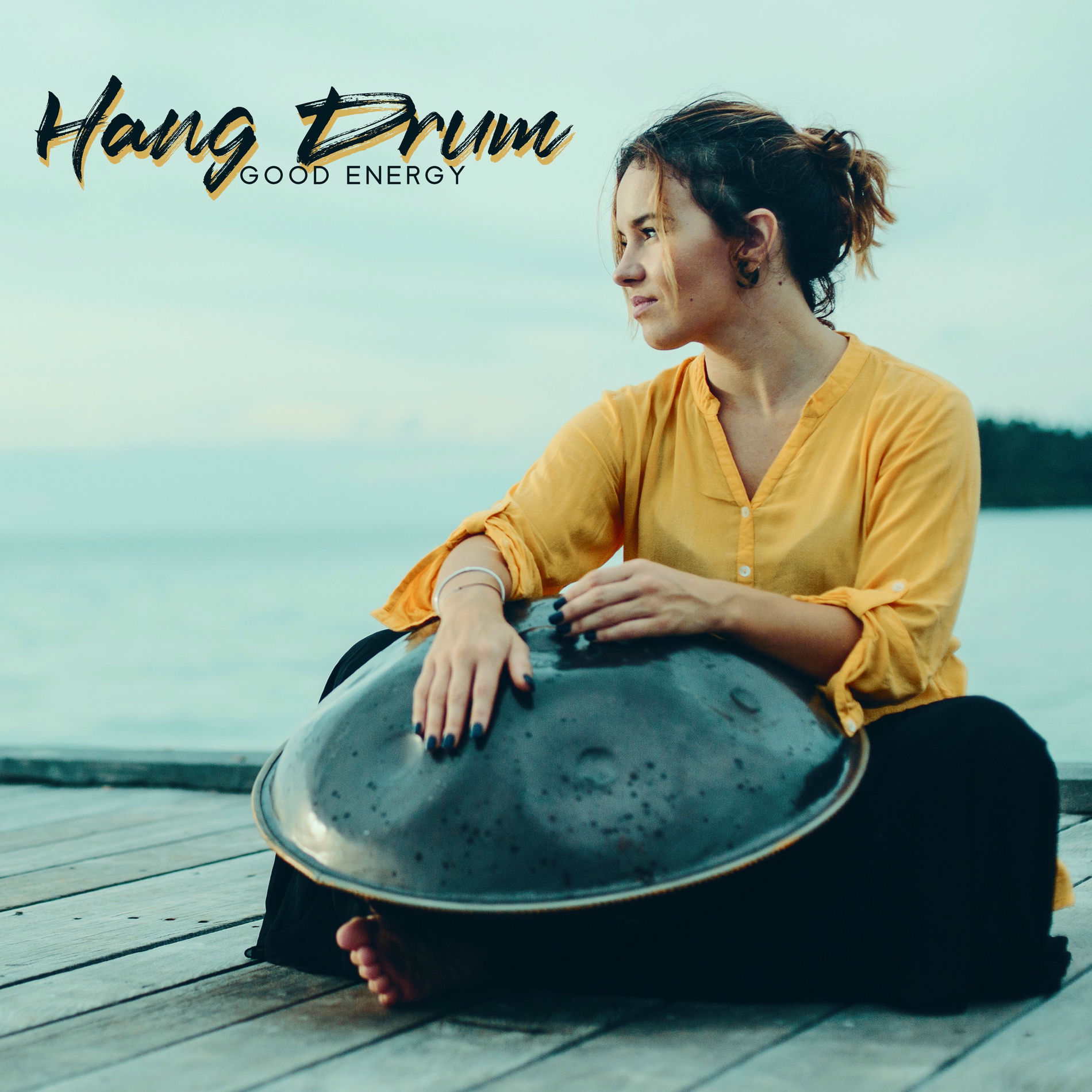 Artist picture of Hang Drum Pro