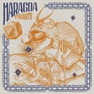 Maragda