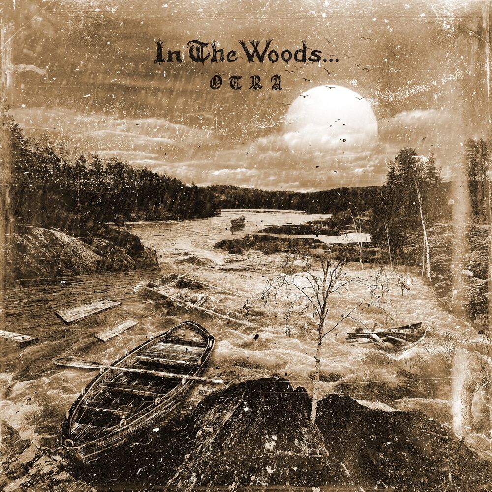Picture of In The Woods...