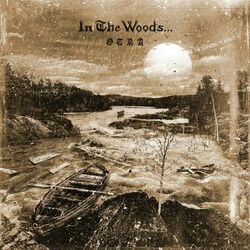 Picture of In The Woods...