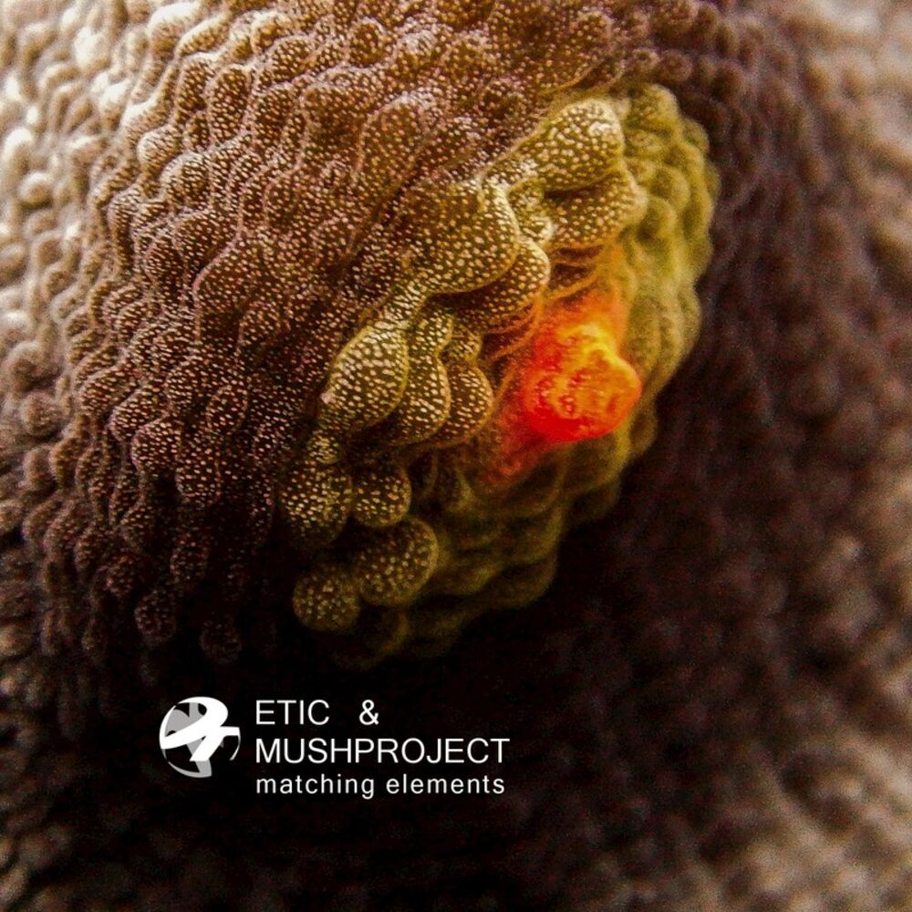 Picture of MushProject