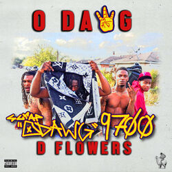 Picture of D Flowers