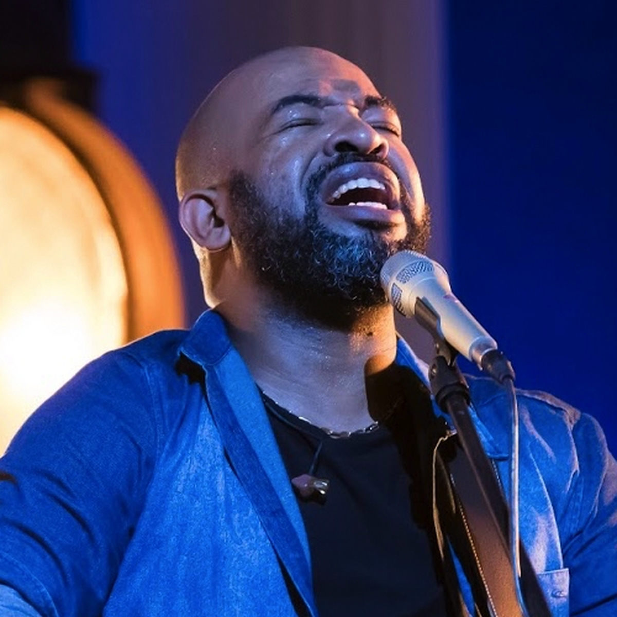 Artist picture of Luiz Arcanjo