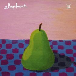 Picture of Elephant