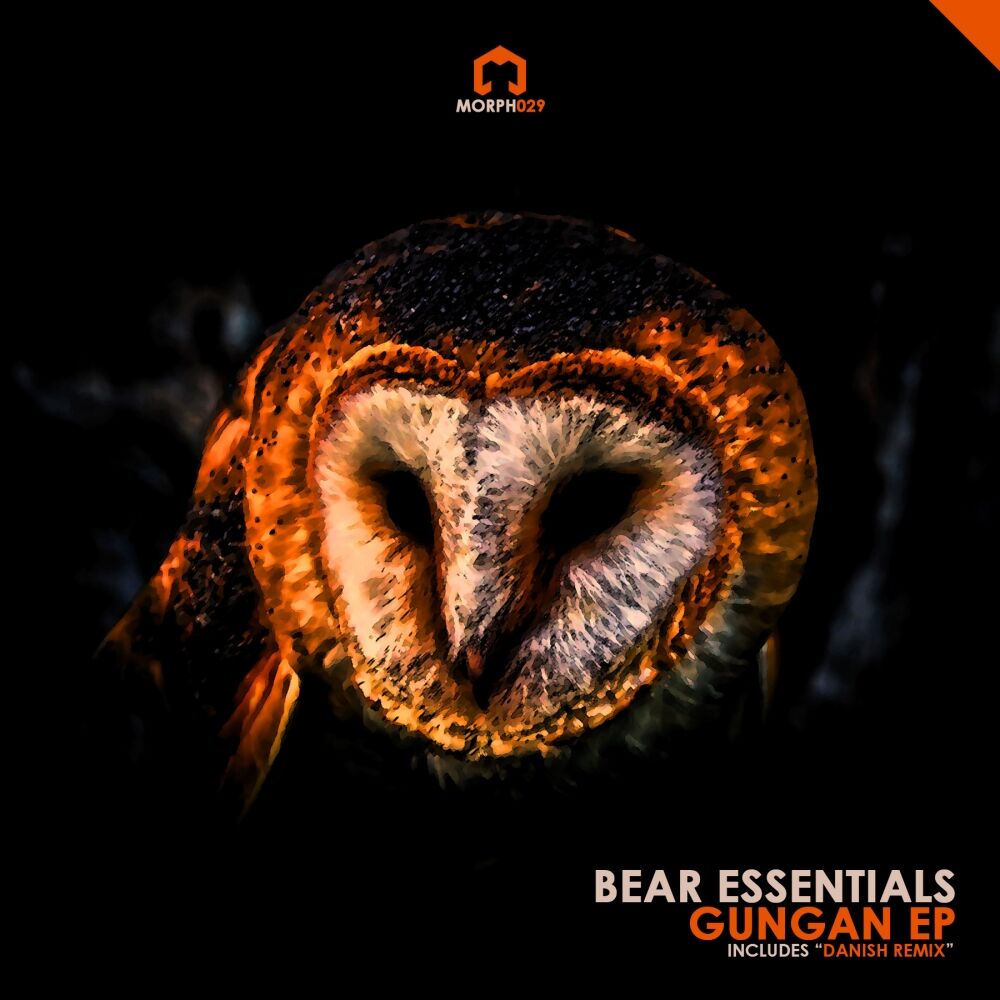 Picture of Bear Essentials