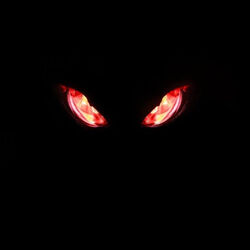 Picture of Evilwave