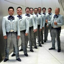 Picture of Mariachi Los Camperos