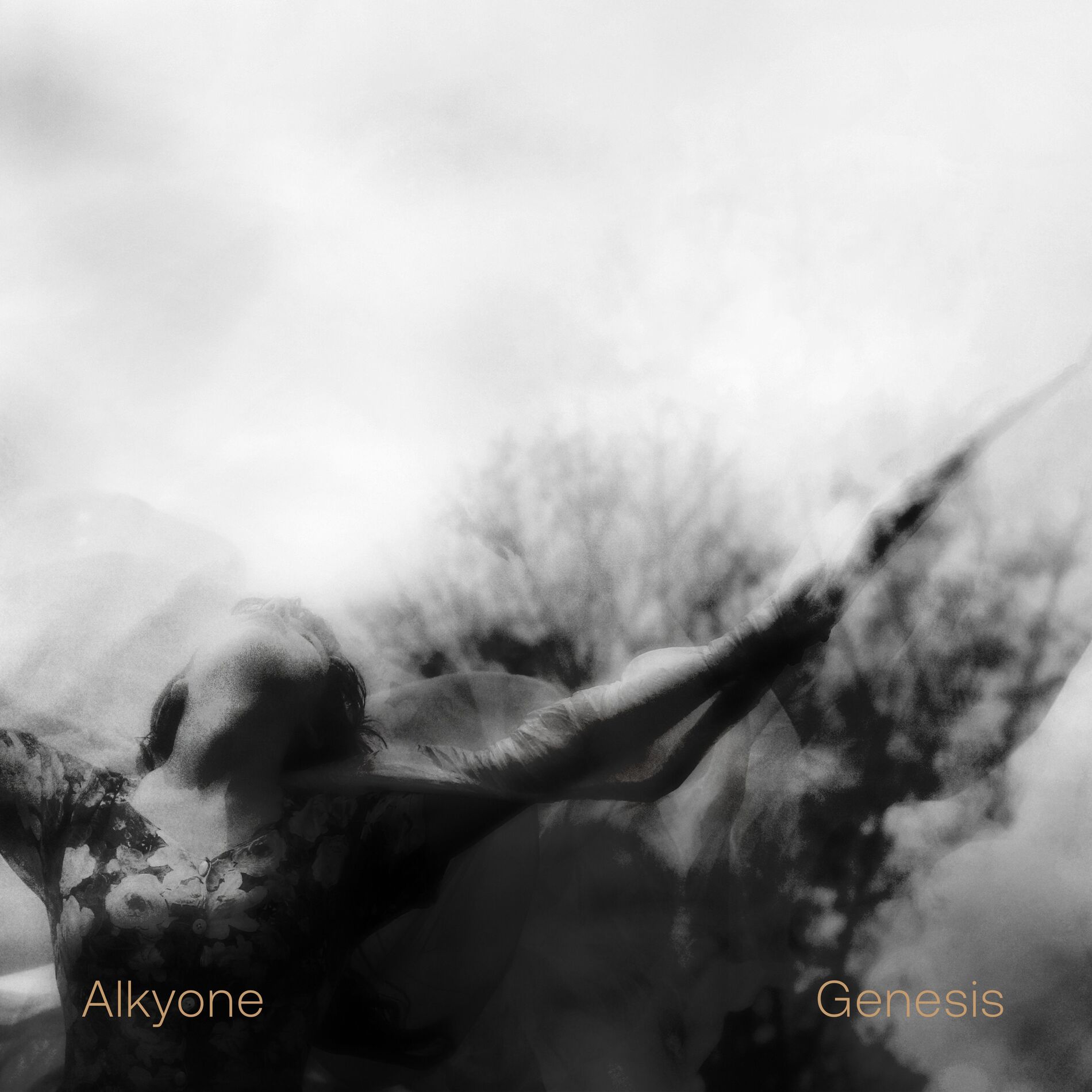 Alkyone