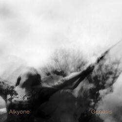 Picture of Alkyone