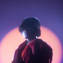 Picture of JEY BROWNIE