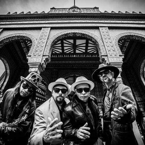 Maldita Vecindad Backing Tracks