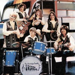 Picture of The Partridge Family