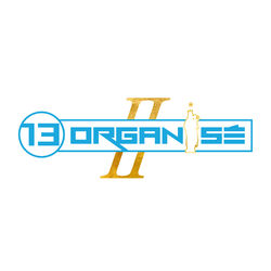 Picture of 13 Organisé