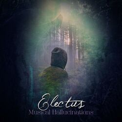 Picture of Electus