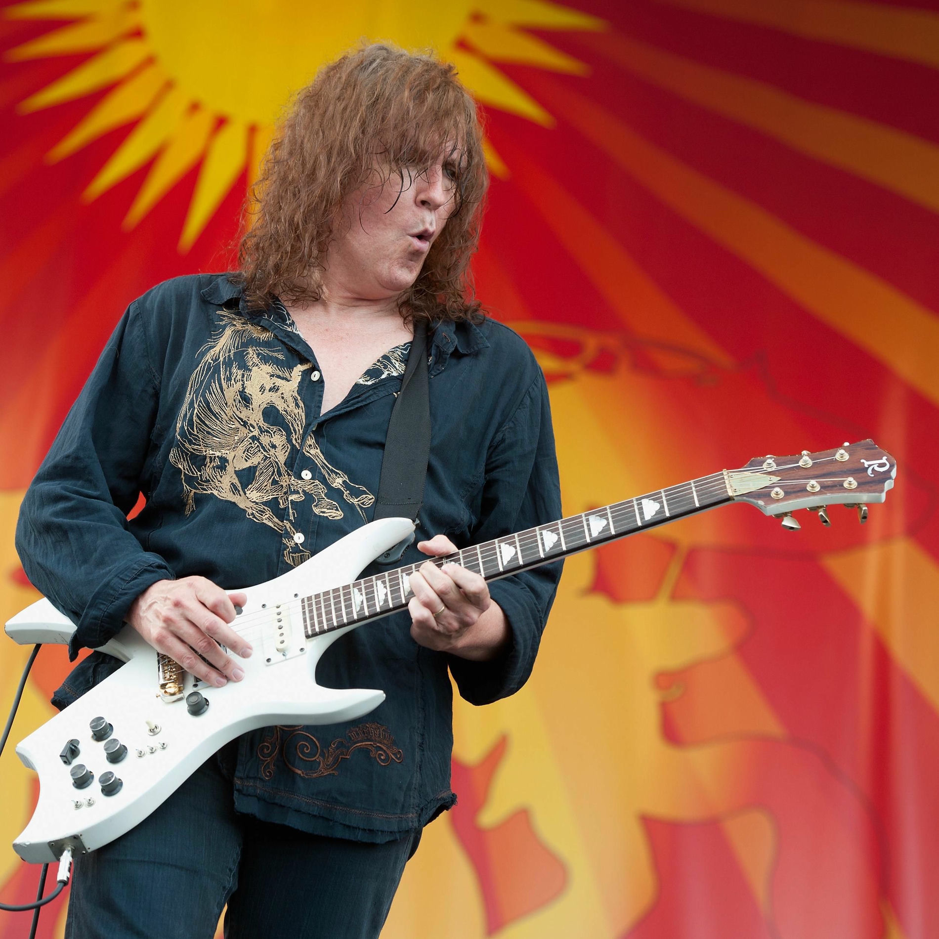 Artist picture of Zebra