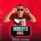 Roberto Voice