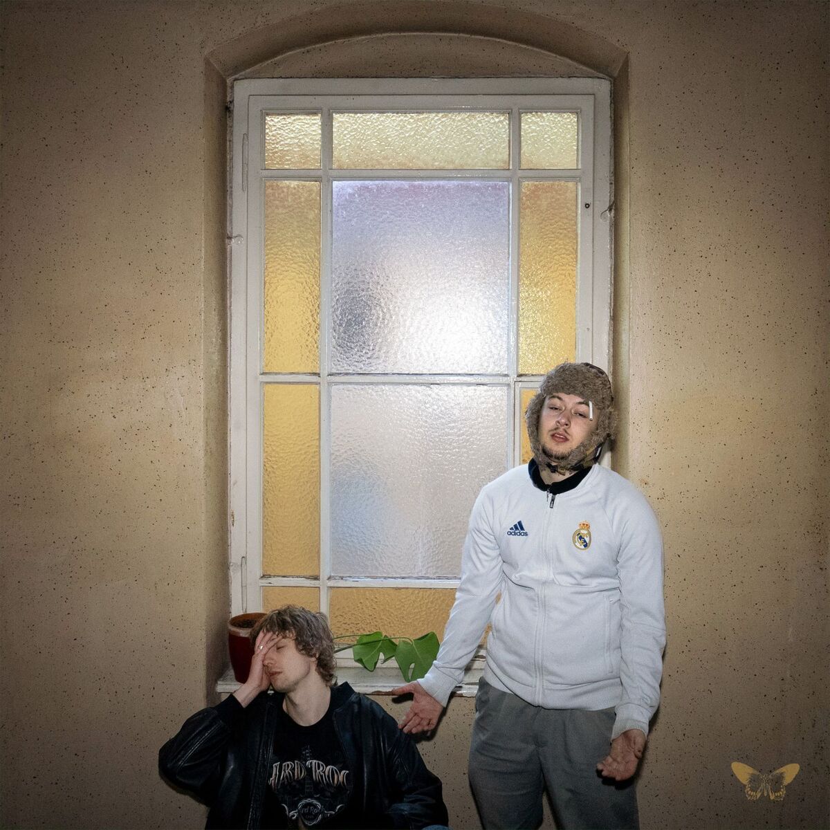 rémi.fr