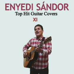 Picture of Sandor Enyedi