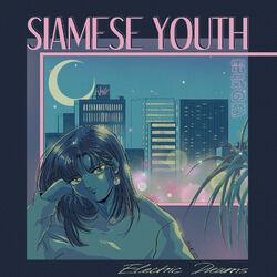 Picture of Siamese Youth
