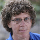 Steve Tibbetts