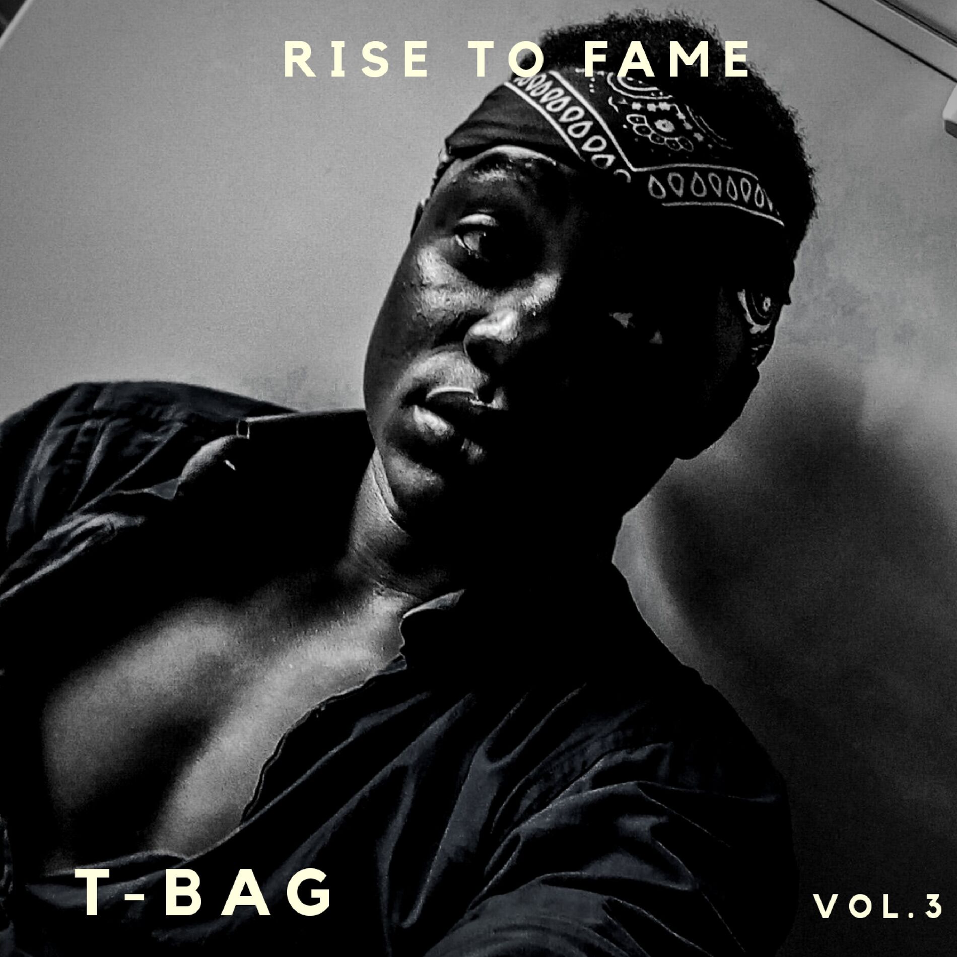 Artist picture of T-Bag